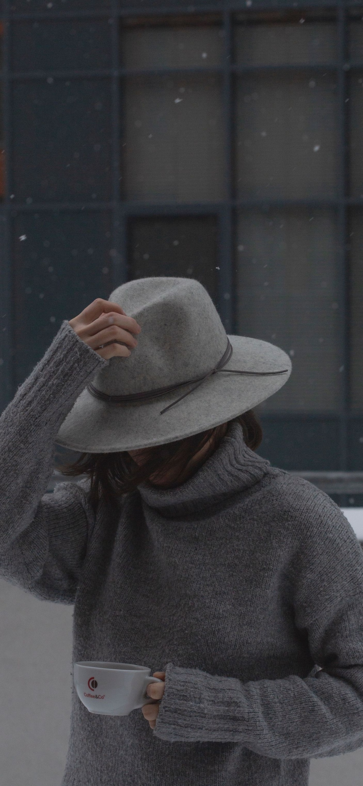 Hat, Cap, Sun Hat, Fedora, Sleeve. Wallpaper in 1242x2688 Resolution