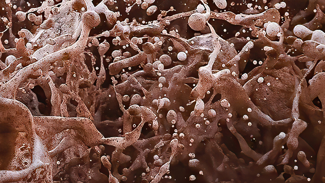 Brown, Eau, Environnement Naturel, Corps de L'eau, Liquid. Wallpaper in 1280x720 Resolution