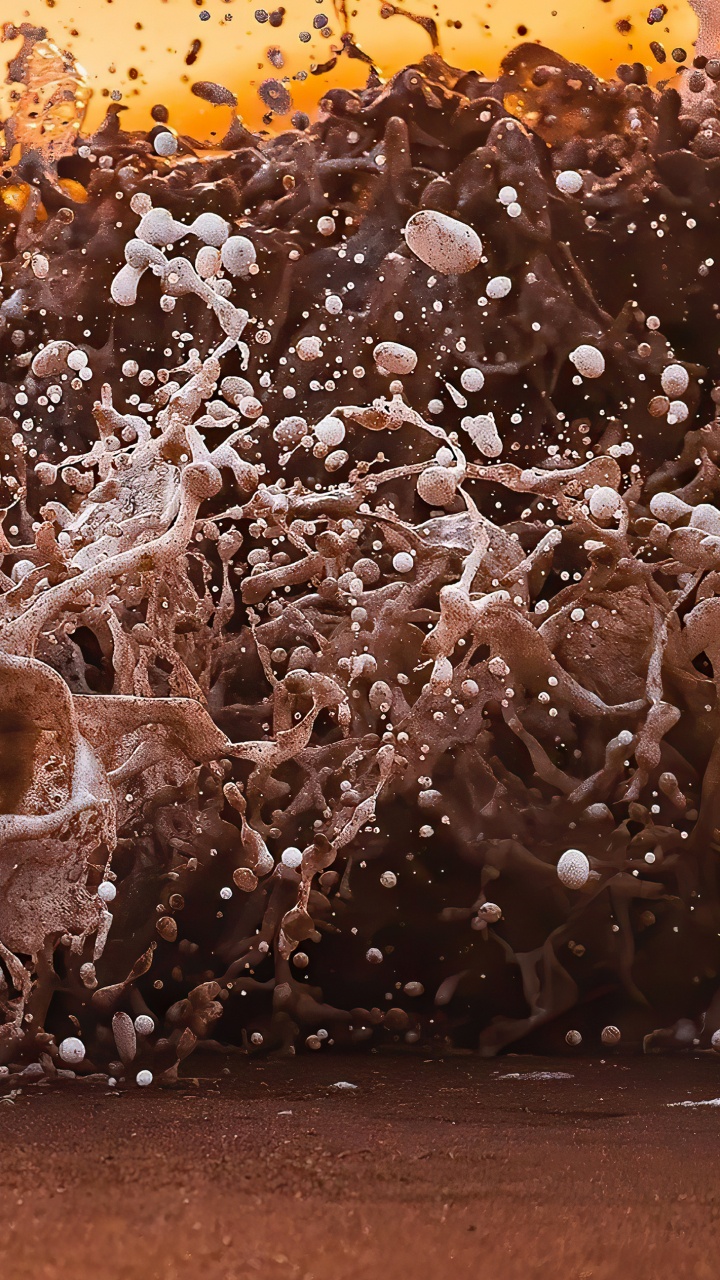 Holz, Brown, Wasser, Natürlichen Umgebung, Gewässer. Wallpaper in 720x1280 Resolution