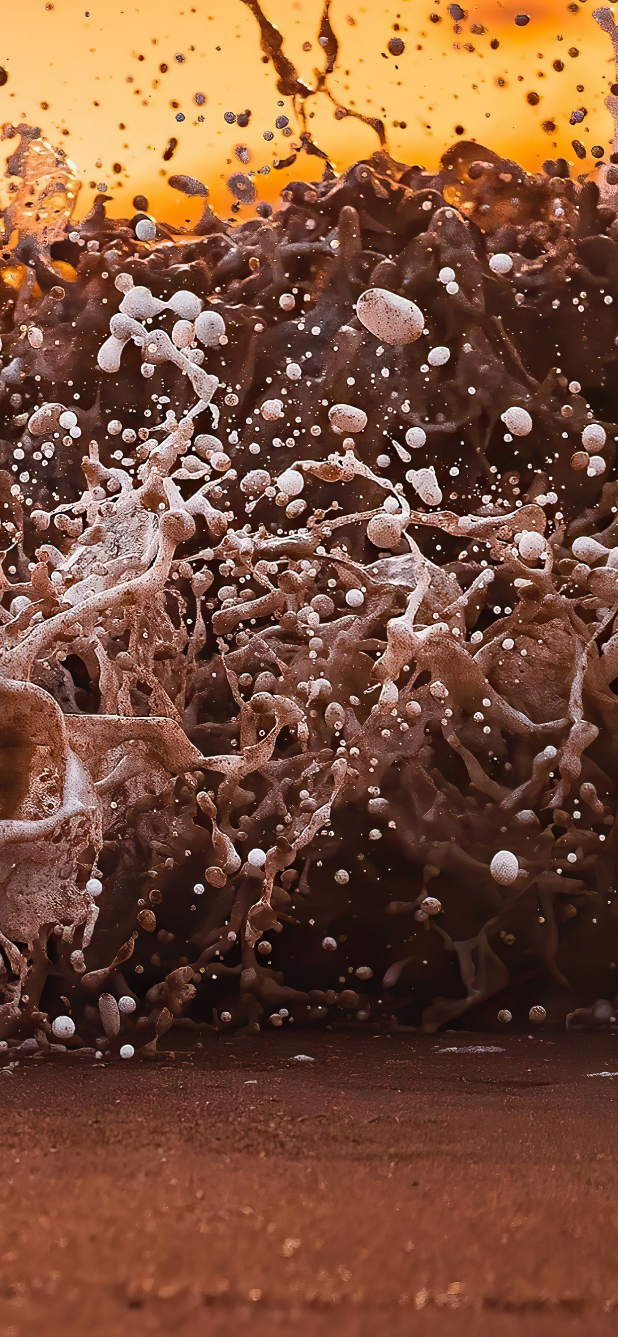 Wood, Brown, Water, Natural Environment, Body of Water. Wallpaper in 1242x2688 Resolution