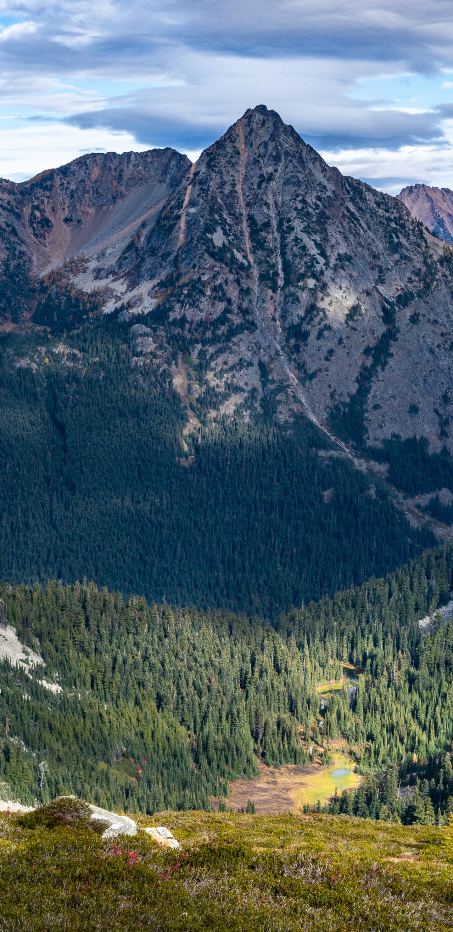 Forêt Nationale Okanogan-wenatchee, Paysage Naturel, Environnement Naturel, Mélèze, Pente. Wallpaper in 1440x2960 Resolution