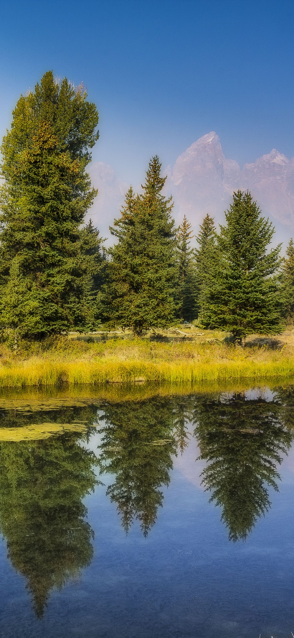 Green Trees Beside Lake Under Blue Sky During Daytime. Wallpaper in 1125x2436 Resolution