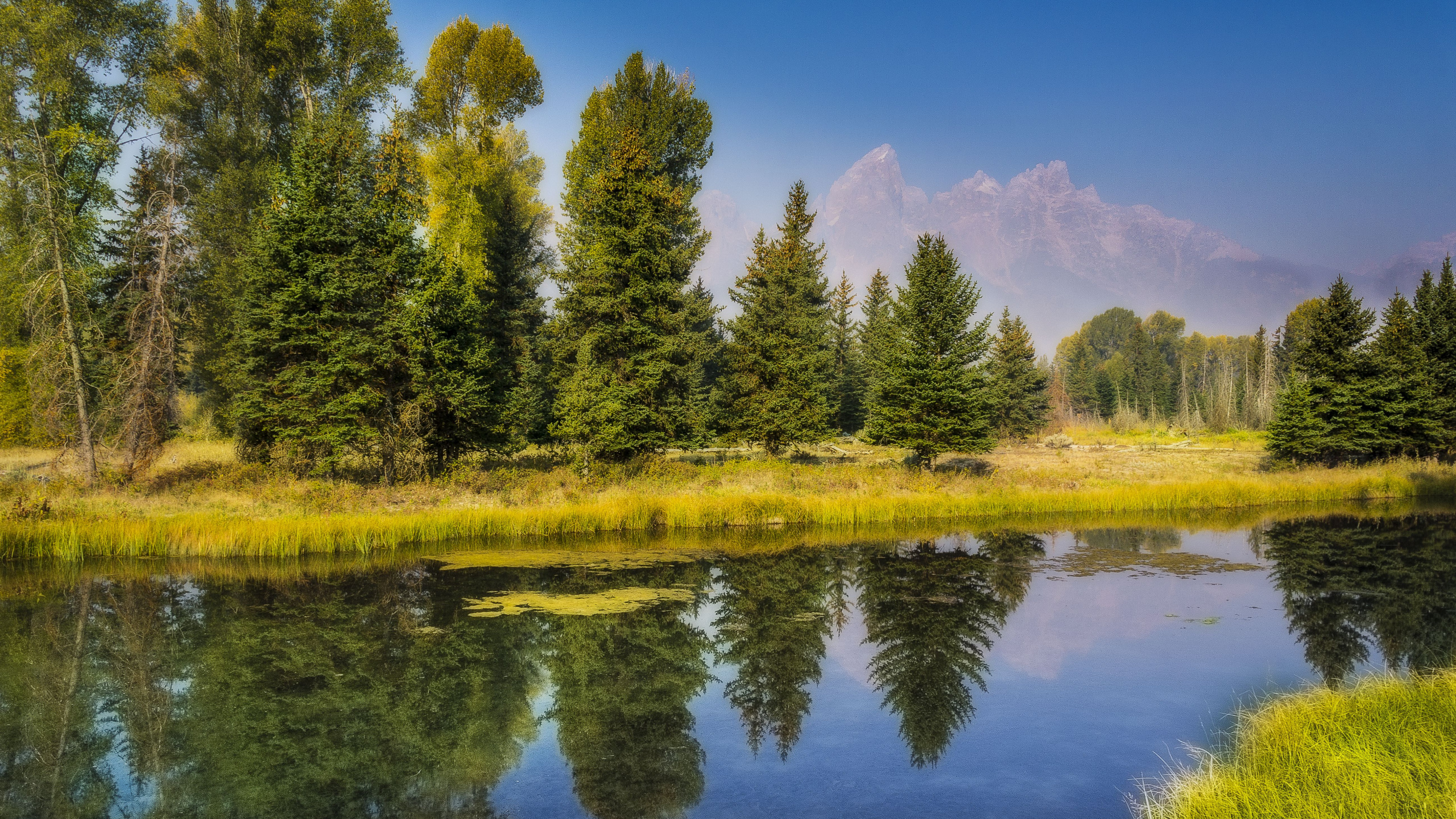 Green Trees Beside Lake Under Blue Sky During Daytime. Wallpaper in 2560x1440 Resolution