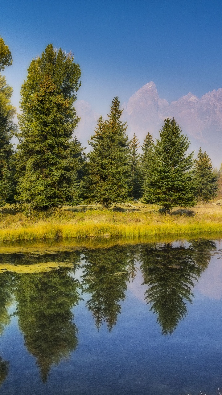 Green Trees Beside Lake Under Blue Sky During Daytime. Wallpaper in 720x1280 Resolution