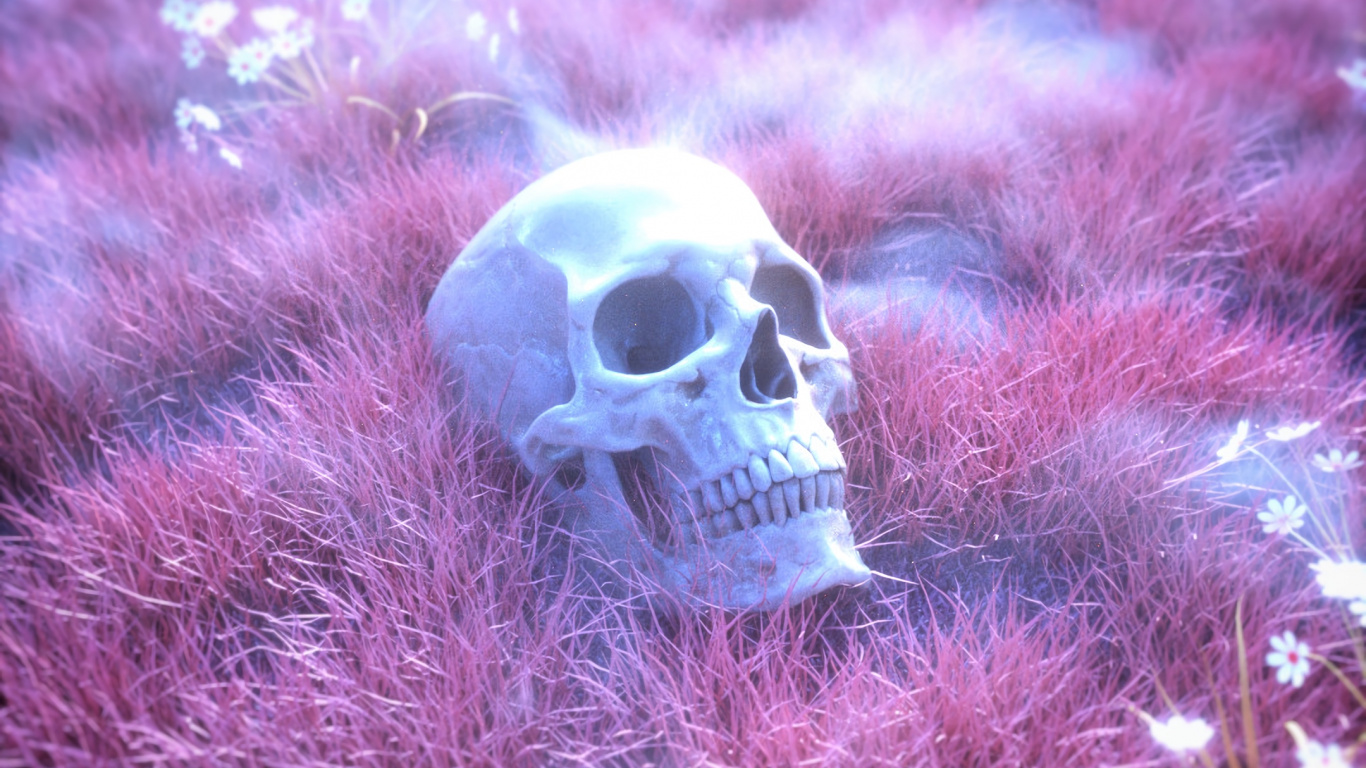 White and Brown Skull on Green Grass. Wallpaper in 1366x768 Resolution