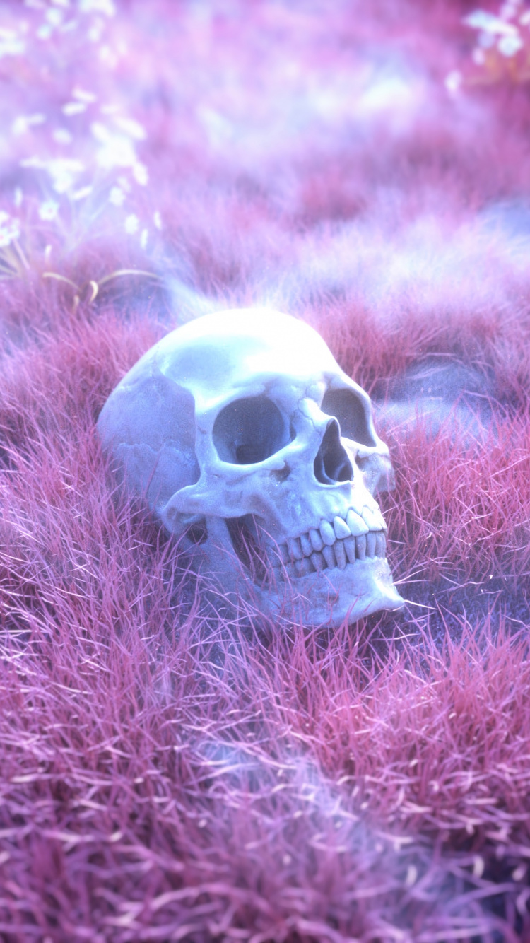 White and Brown Skull on Green Grass. Wallpaper in 750x1334 Resolution