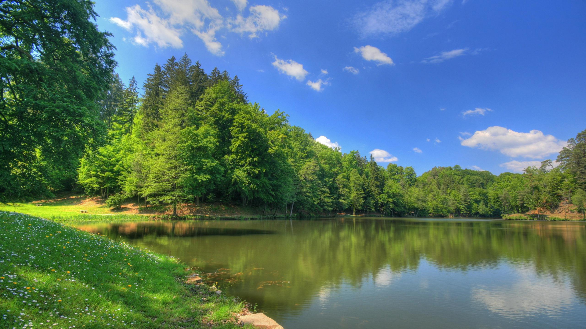 Grüne Bäume Neben Dem Fluss Unter Blauem Himmel Tagsüber. Wallpaper in 1920x1080 Resolution