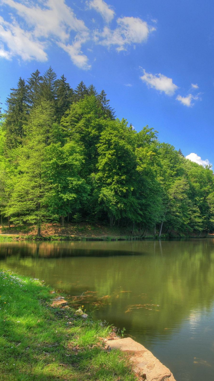 Green Trees Beside River Under Blue Sky During Daytime. Wallpaper in 750x1334 Resolution