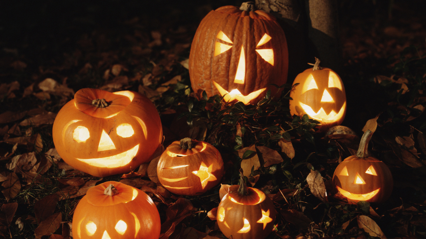 Cucurbita, Jack o Lantern, Lantern, Vegetable Carving, Pumpkin. Wallpaper in 1366x768 Resolution