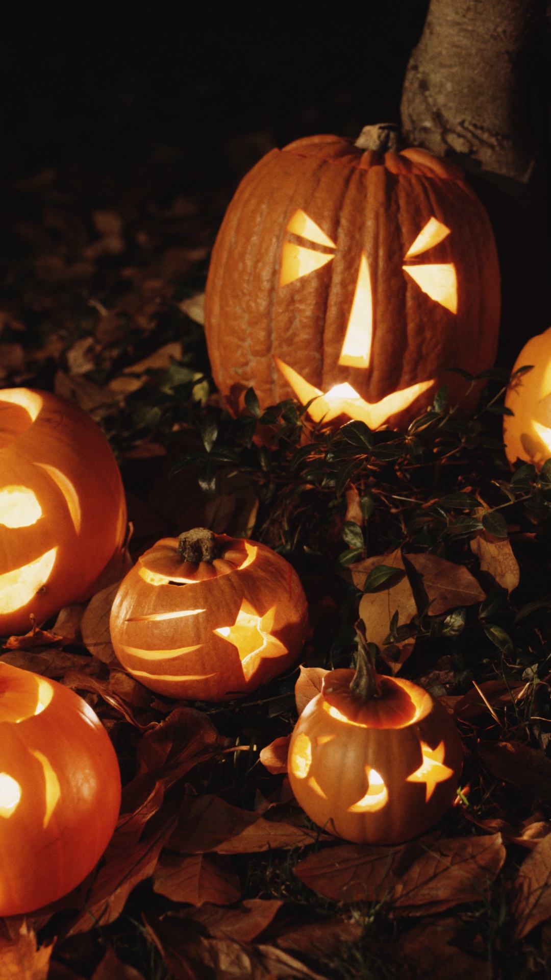 Cucurbita, Jack O'lantern, Tallado de Vegetales, Calabaza, Halloween. Wallpaper in 1080x1920 Resolution