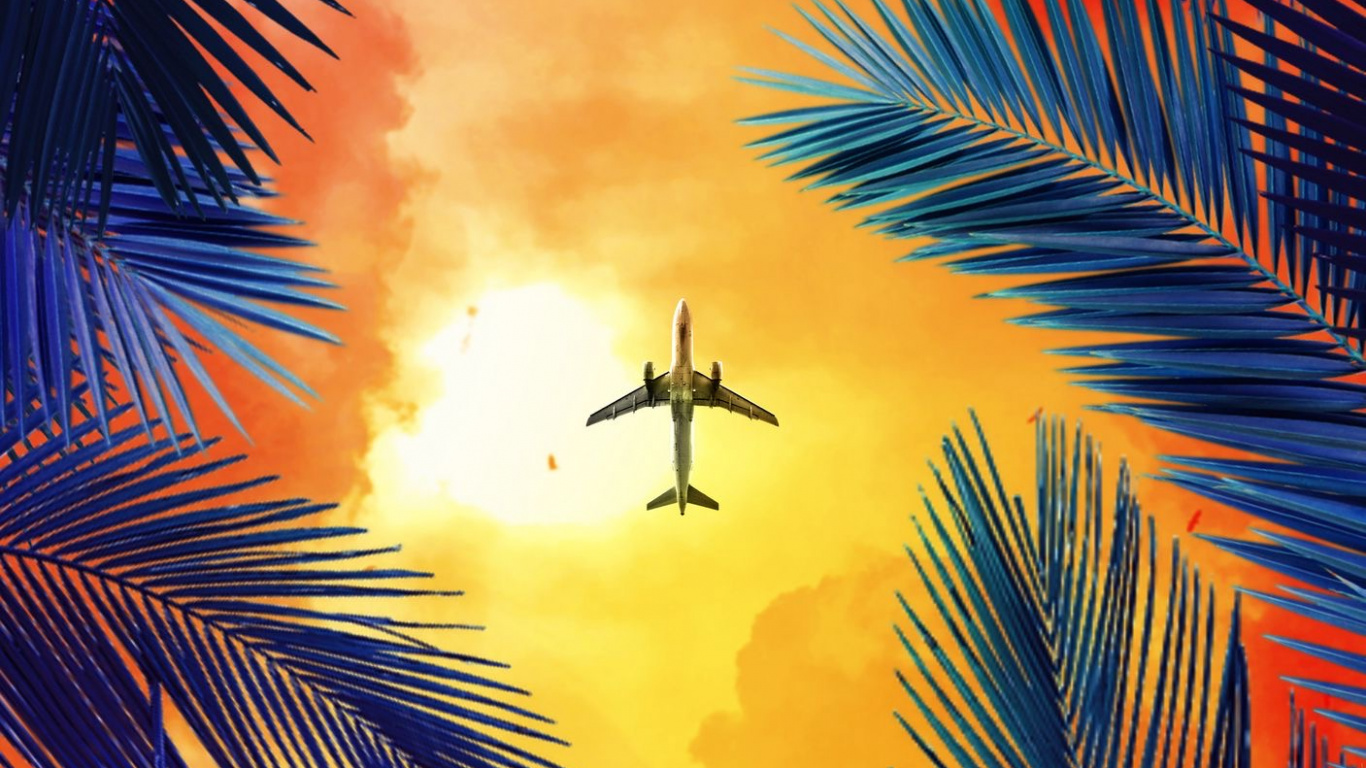 Orange, Palmier, Vol, Aviation, Air Voyage. Wallpaper in 1366x768 Resolution