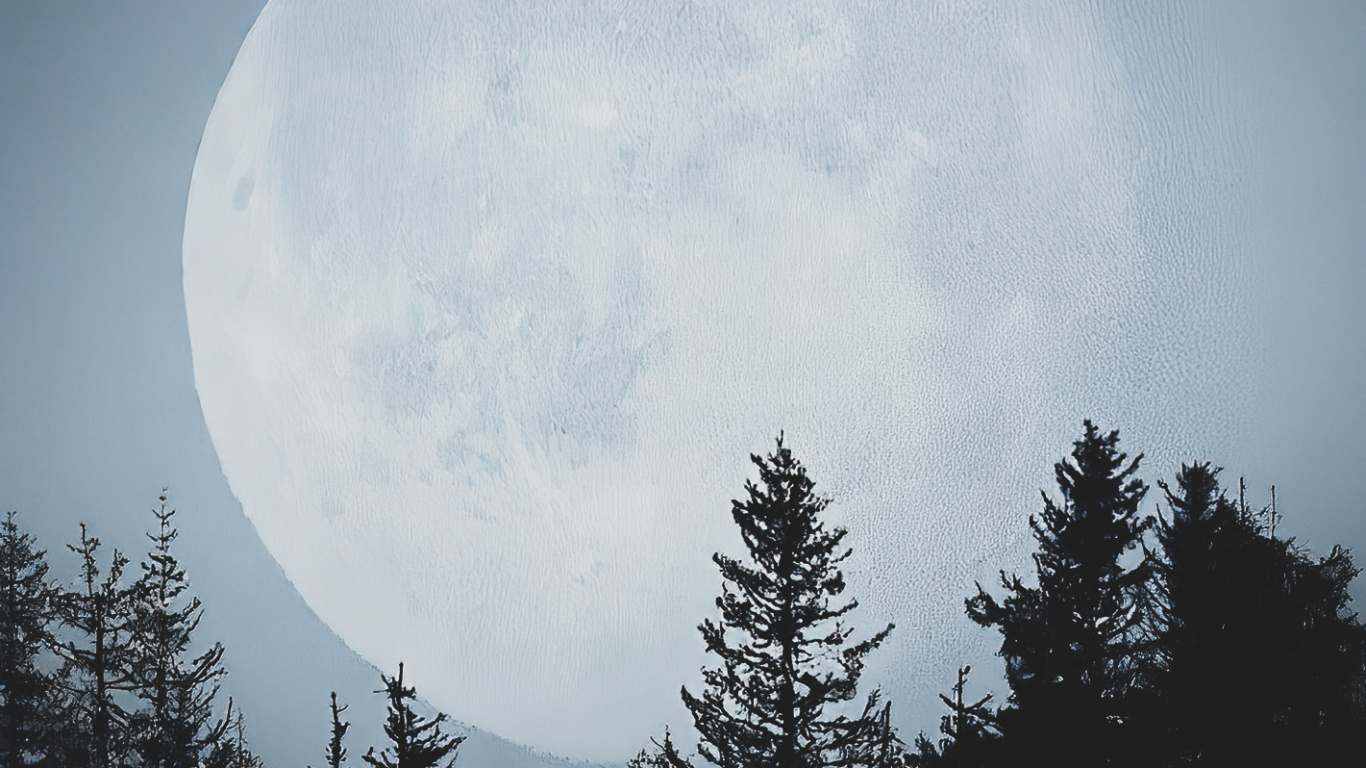 Atmosphere, Natural Landscape, World, Branch, Moon. Wallpaper in 1366x768 Resolution