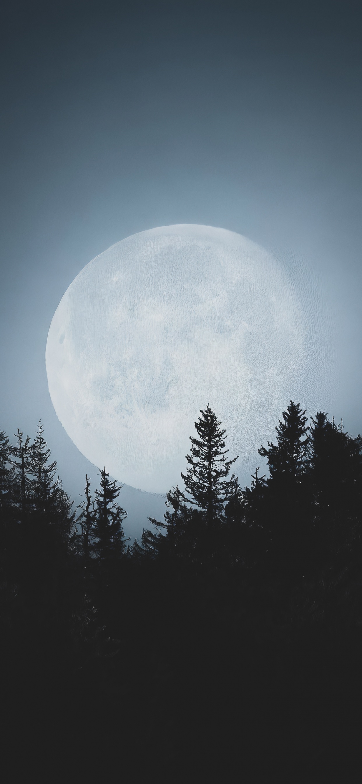 Atmosphère, Paysage Naturel. Wallpaper in 1242x2688 Resolution