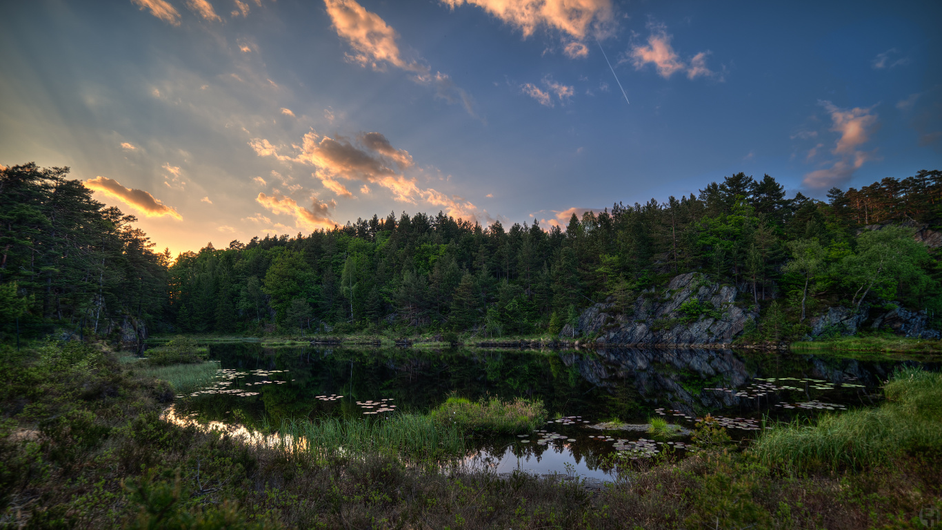 Green Trees Beside Lake Under Blue Sky During Daytime. Wallpaper in 1366x768 Resolution