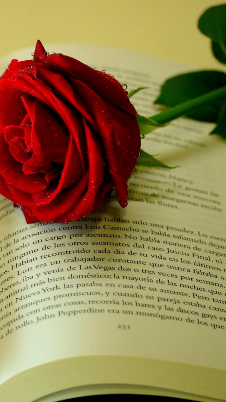 Rose Rouge Sur la Page du Livre. Wallpaper in 750x1334 Resolution