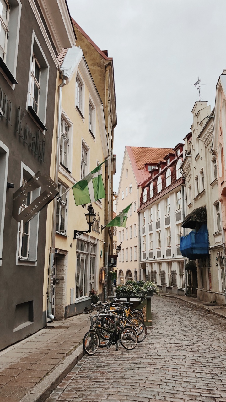 Road, Fenster, Stadt, Street, Nachbarschaft. Wallpaper in 720x1280 Resolution
