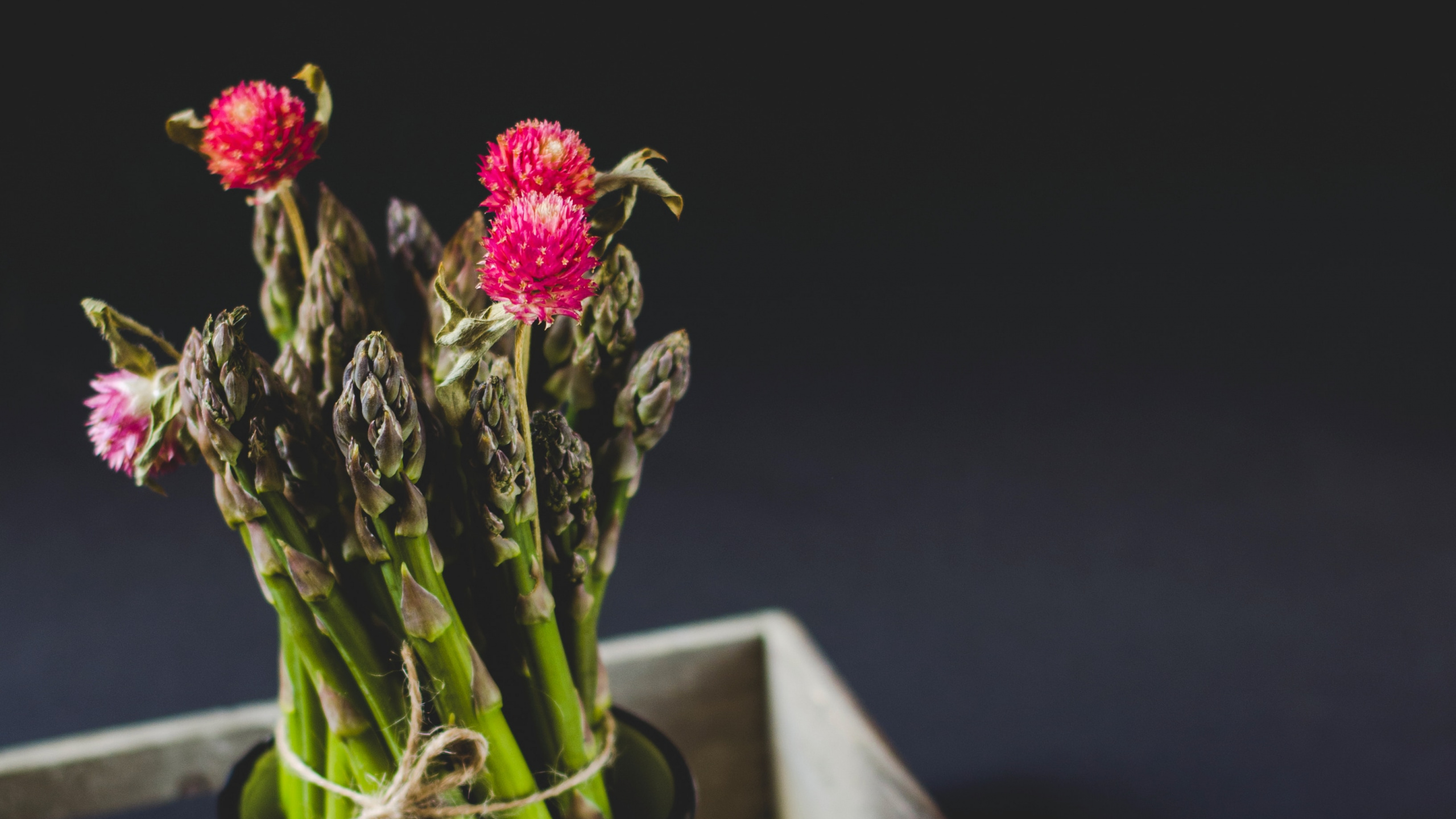 Red Flowers in White Ceramic Mug on Brown Wooden Table. Wallpaper in 2560x1440 Resolution