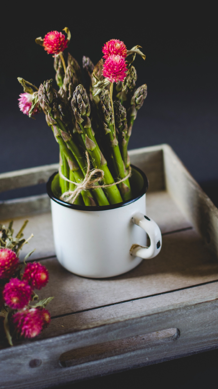 Red Flowers in White Ceramic Mug on Brown Wooden Table. Wallpaper in 750x1334 Resolution
