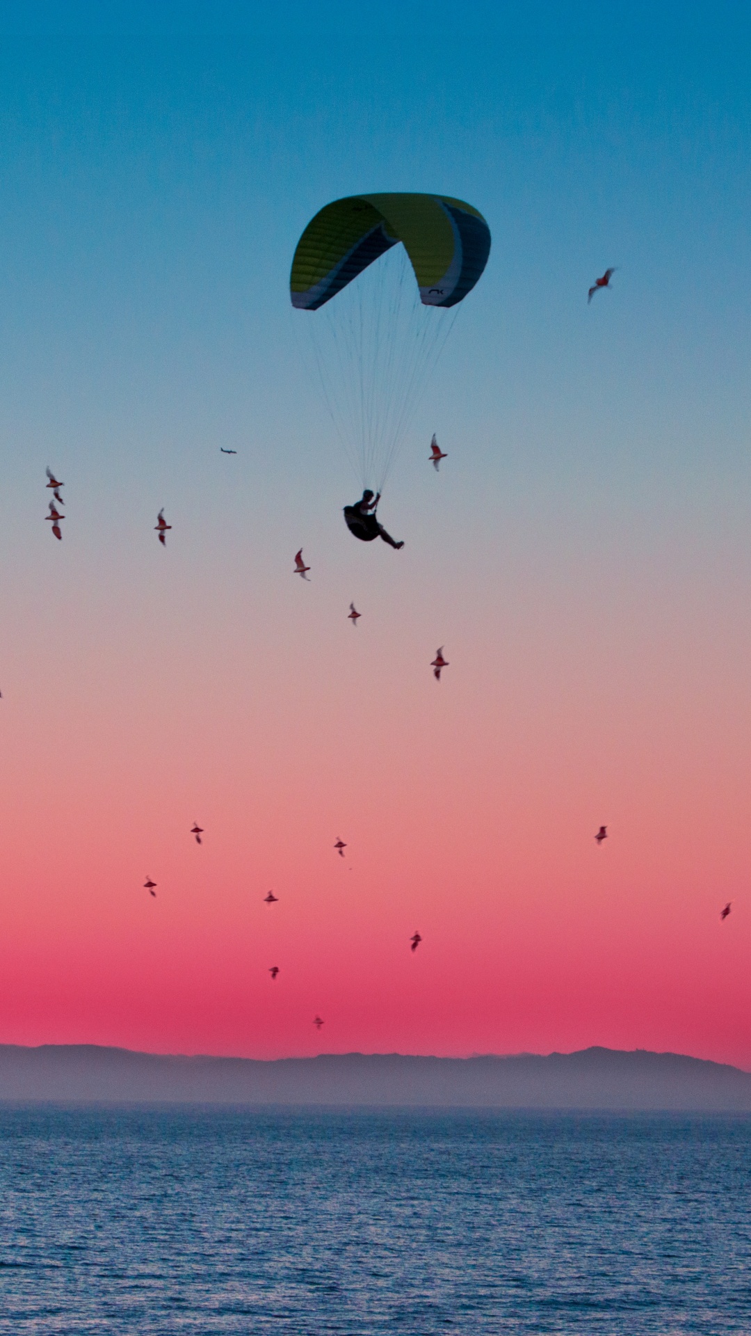 Birds Flying Over The Sea During Sunset. Wallpaper in 1080x1920 Resolution