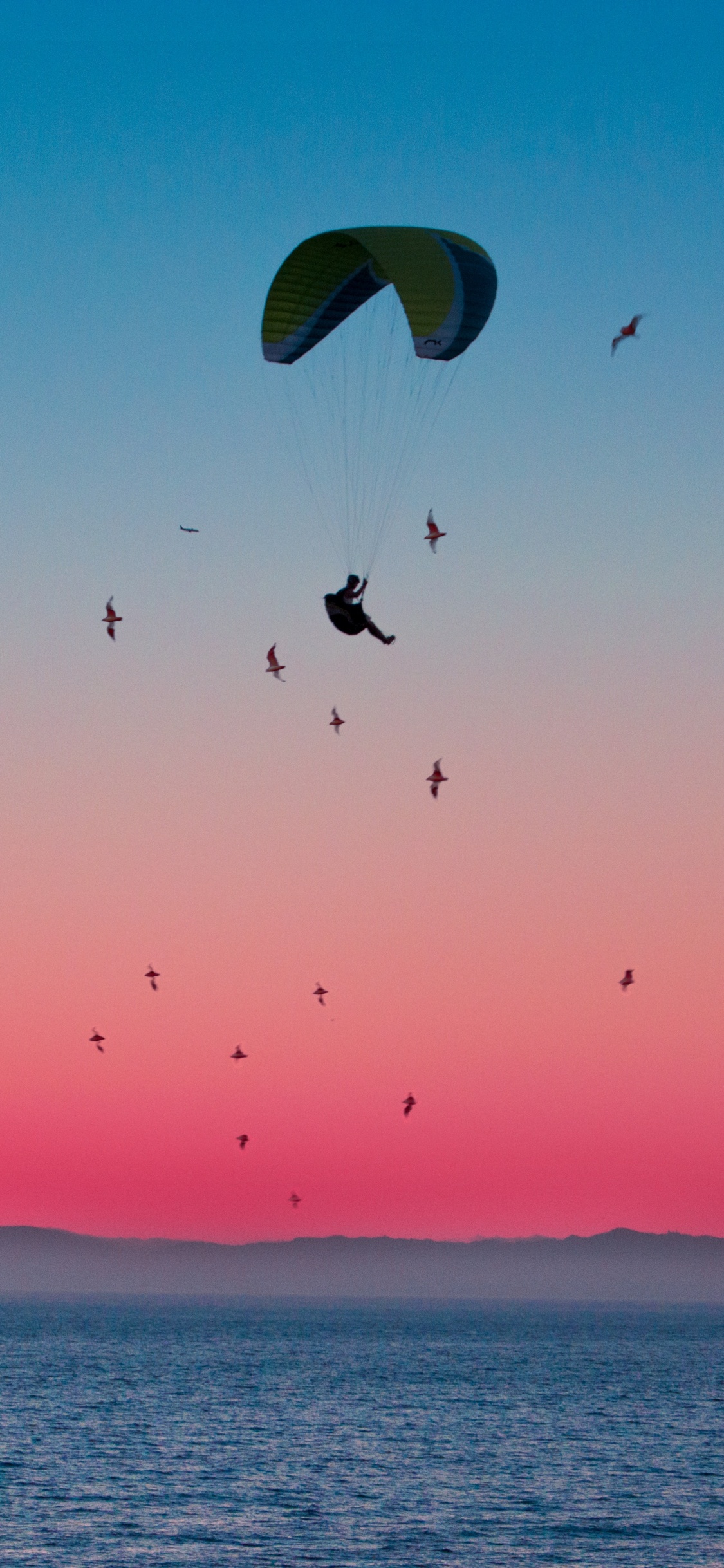 Birds Flying Over The Sea During Sunset. Wallpaper in 1125x2436 Resolution