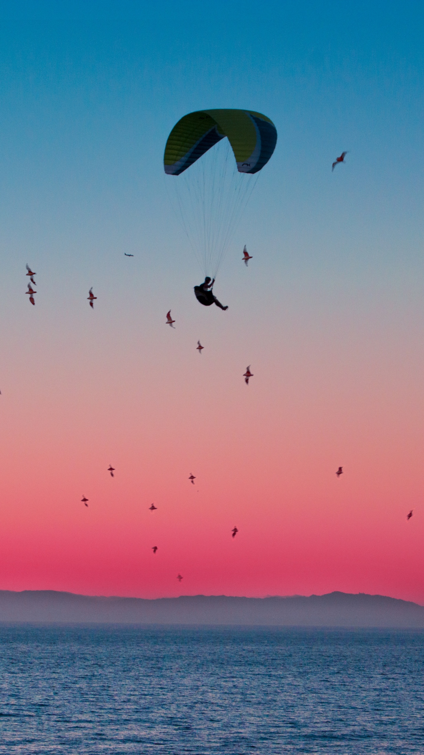Birds Flying Over The Sea During Sunset. Wallpaper in 1440x2560 Resolution