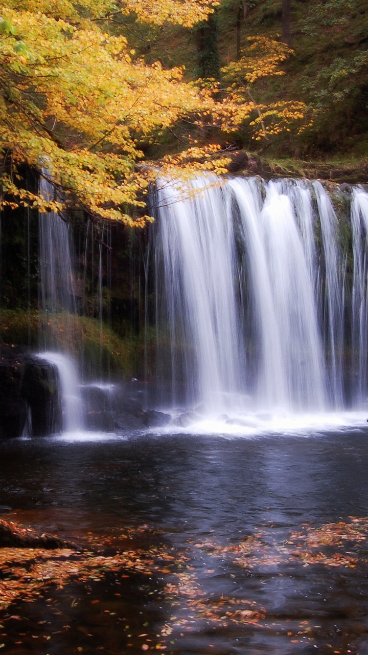 Cascades en Forêt Pendant la Journée. Wallpaper in 720x1280 Resolution