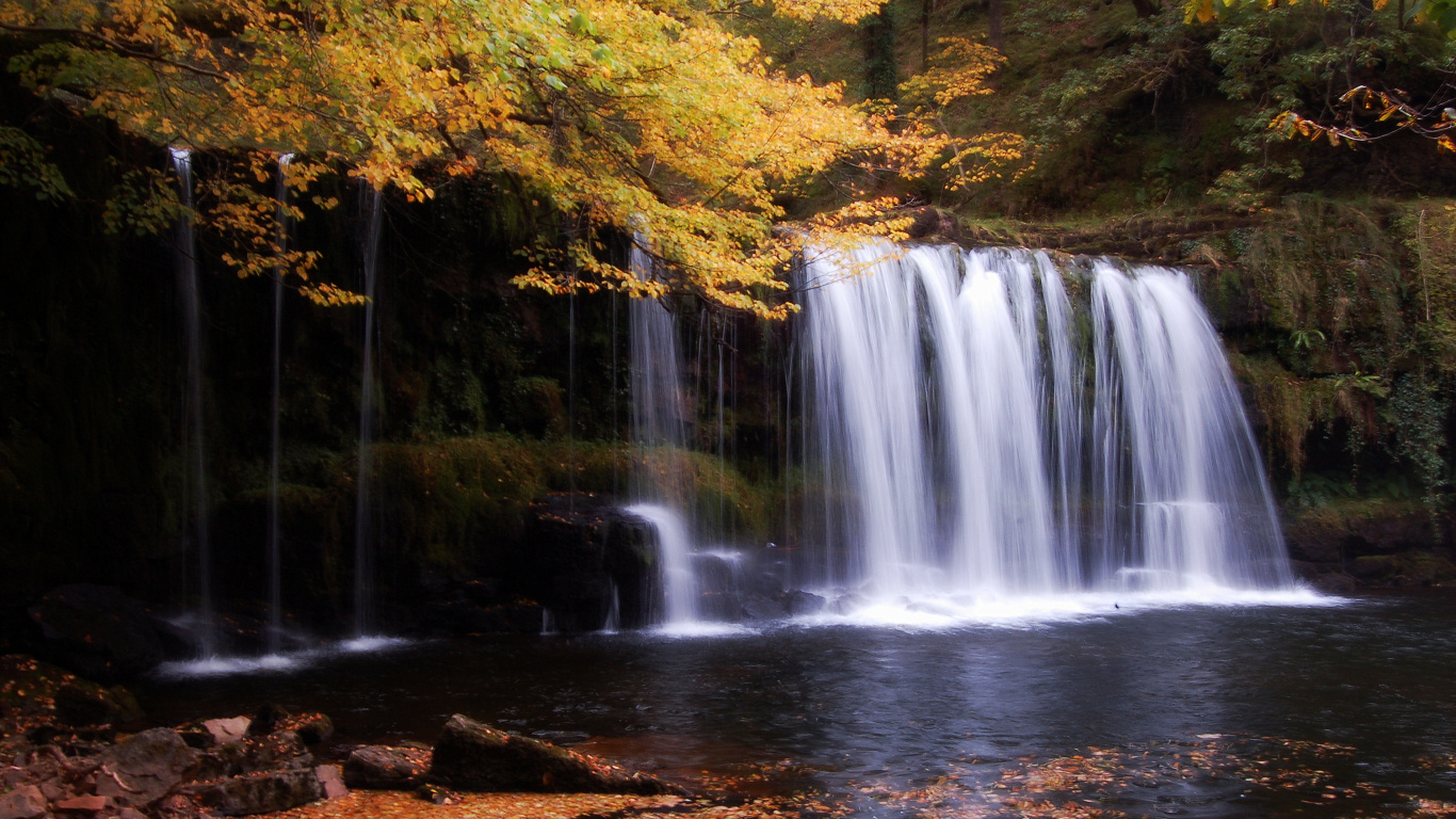 Wasserfälle im Wald Tagsüber. Wallpaper in 1366x768 Resolution