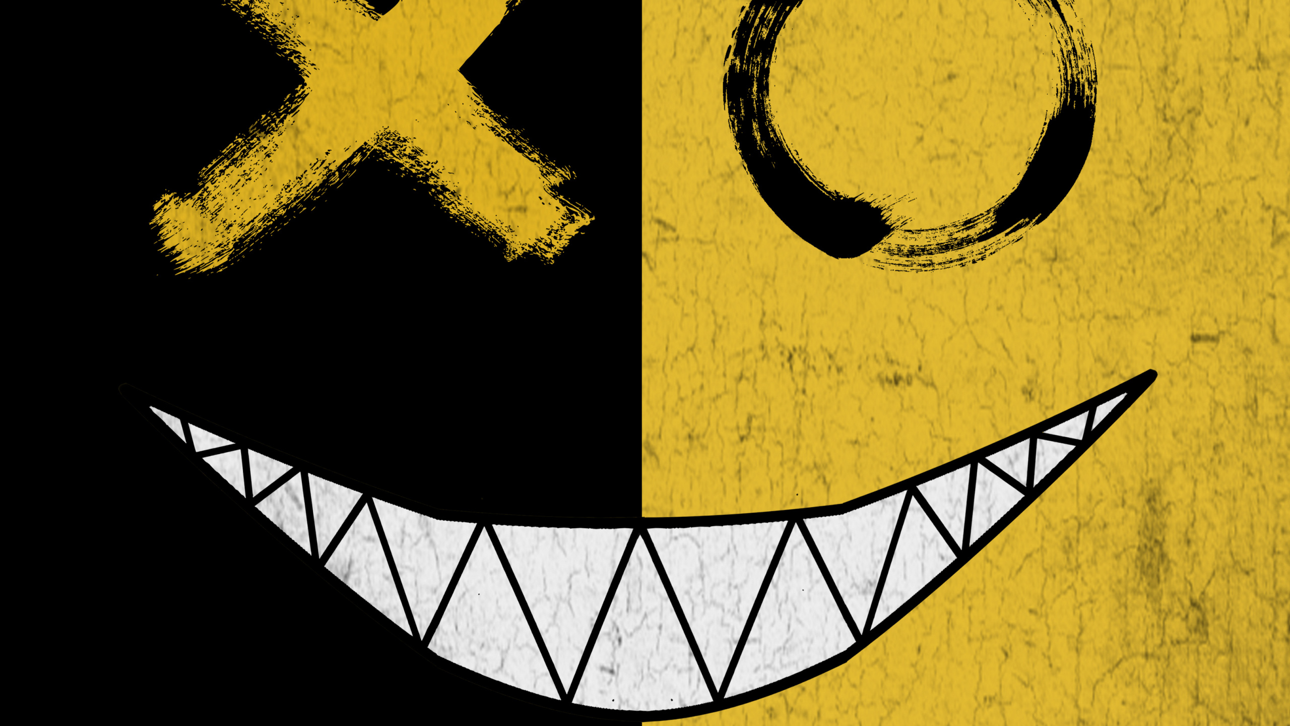 z Flip, t Shirt, Hoodie, Shirt, Coat. Wallpaper in 2560x1440 Resolution