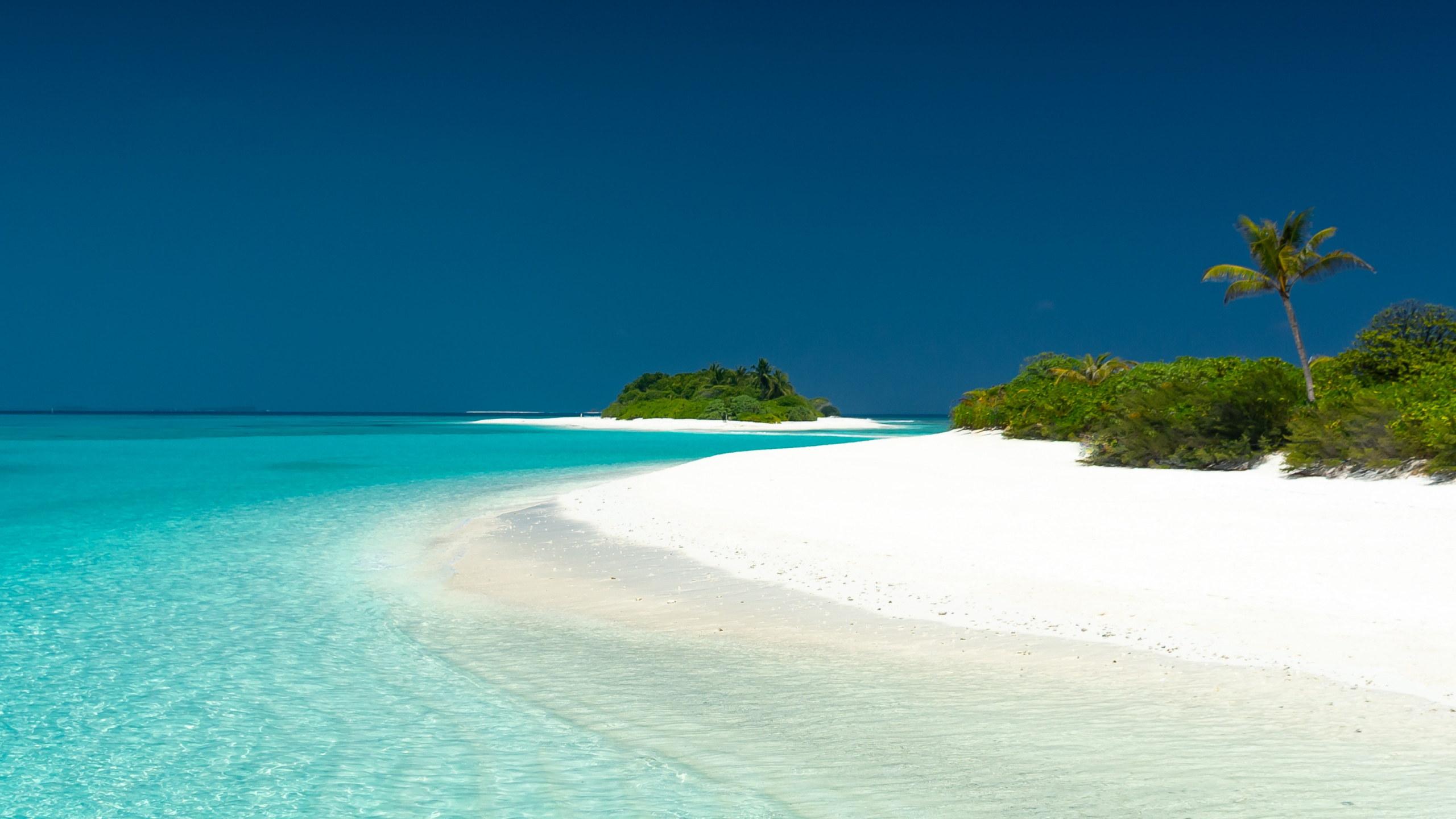 Azul, Mar, Agua, Oceano, Trópicos. Wallpaper in 2560x1440 Resolution