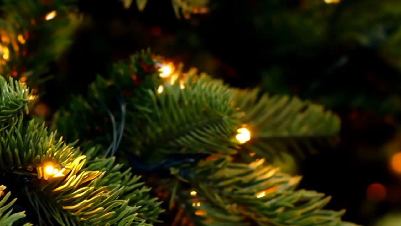 Neujahr, Fir, Weihnachten, Weihnachtsbeleuchtung, Weihnachtsdekoration. Wallpaper in 1280x720 Resolution