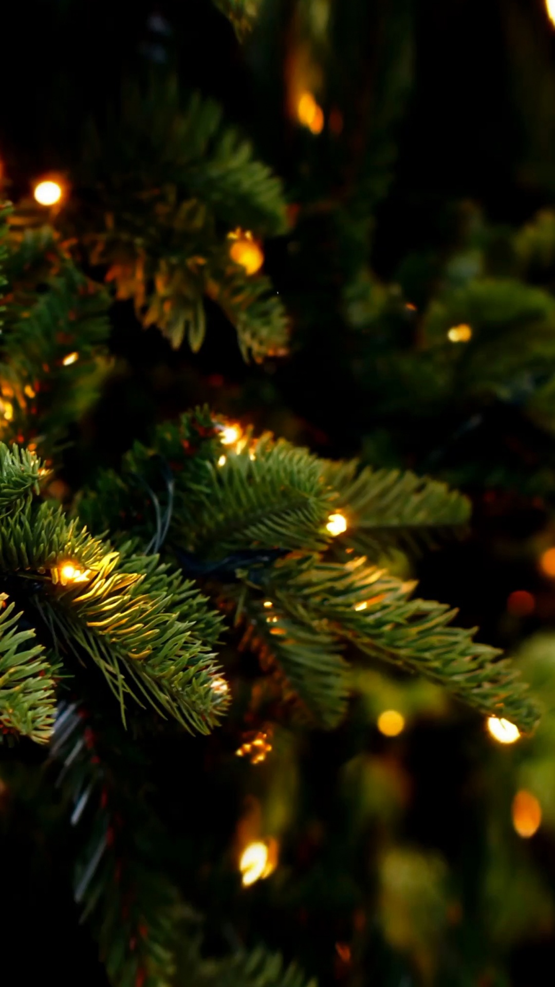 New Year, Christmas, Fir, Christmas Day, Christmas Lights. Wallpaper in 1080x1920 Resolution