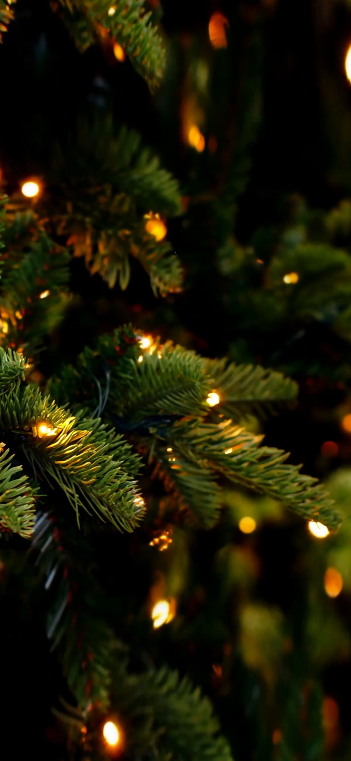 New Year, Christmas, Fir, Christmas Day, Christmas Lights. Wallpaper in 1125x2436 Resolution