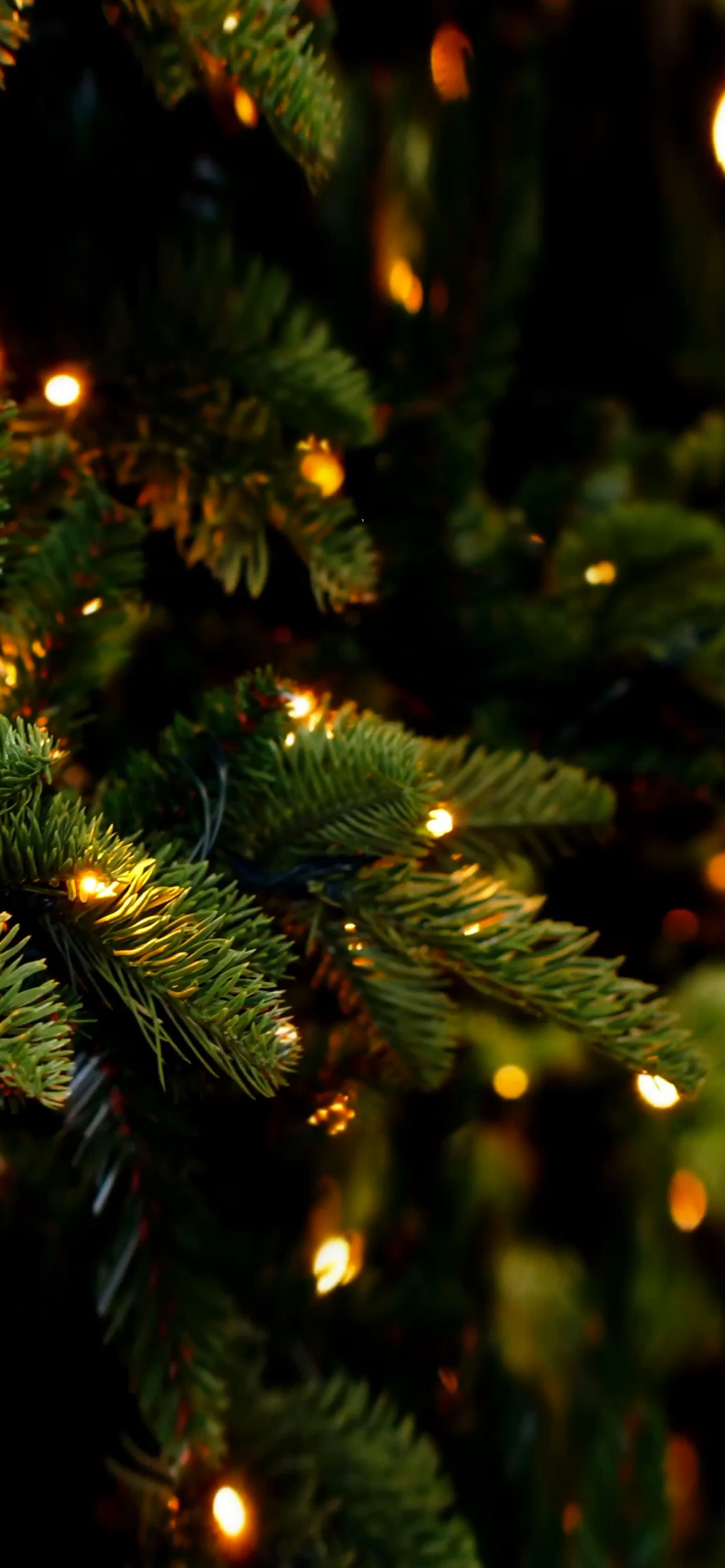 Với hình nền Giáng Sinh, cây thông và ngày Noel, bạn sẽ cảm nhận được sự phấn khởi và hân hoan với khung cảnh tuyệt đẹp của mùa lễ hội đang đến.