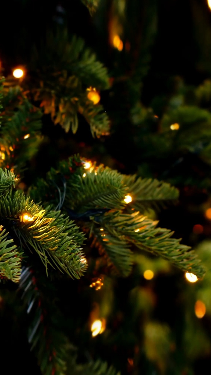 New Year, Christmas, Fir, Christmas Day, Christmas Lights. Wallpaper in 720x1280 Resolution