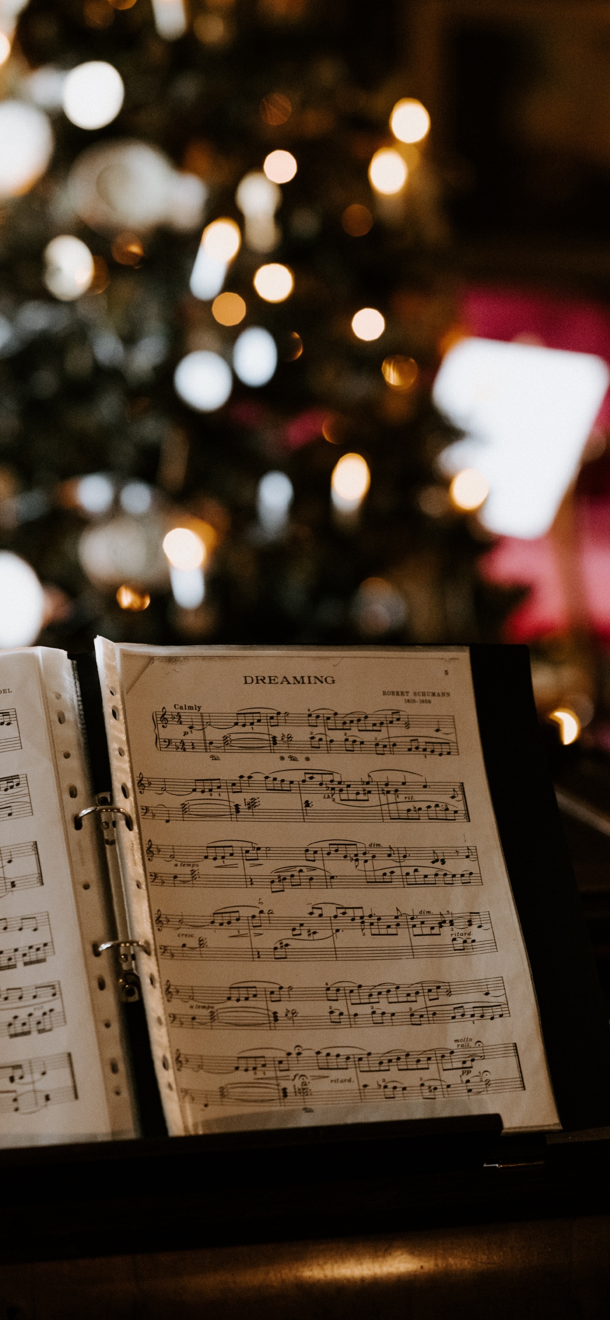 Mètre, Texte, Piano, Contrebasse, Dixieland. Wallpaper in 1242x2688 Resolution