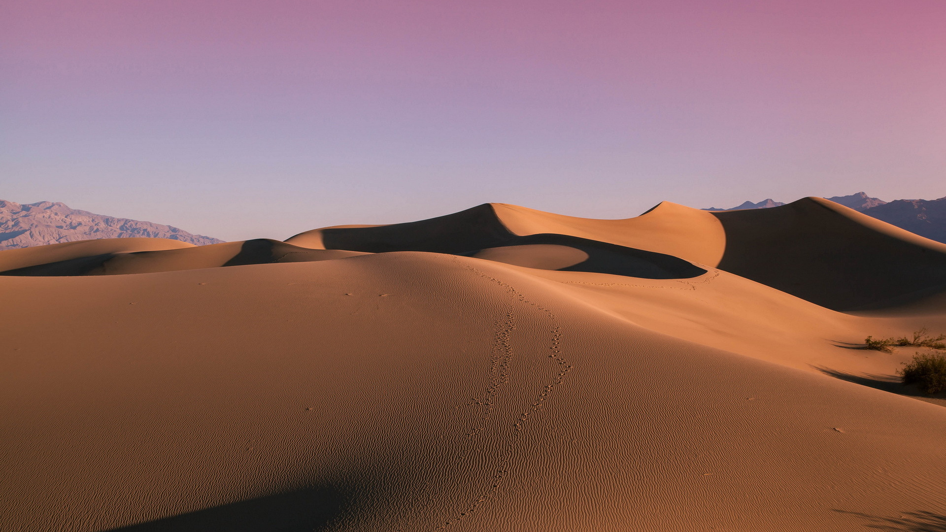 Dunes de Sable Brun Sous Ciel Bleu Pendant la Journée. Wallpaper in 1920x1080 Resolution
