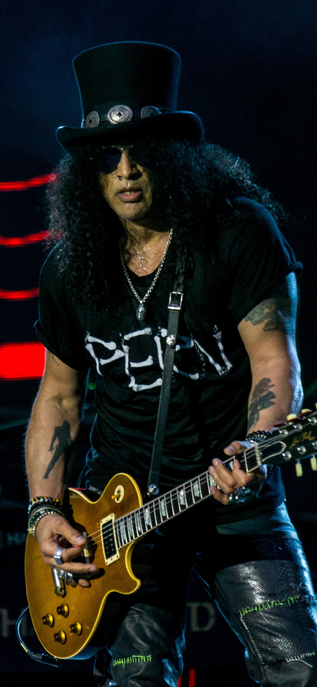 Guns N Roses, Guitarra, el Guitarrista, Músico, Instrumento Musical. Wallpaper in 1242x2688 Resolution