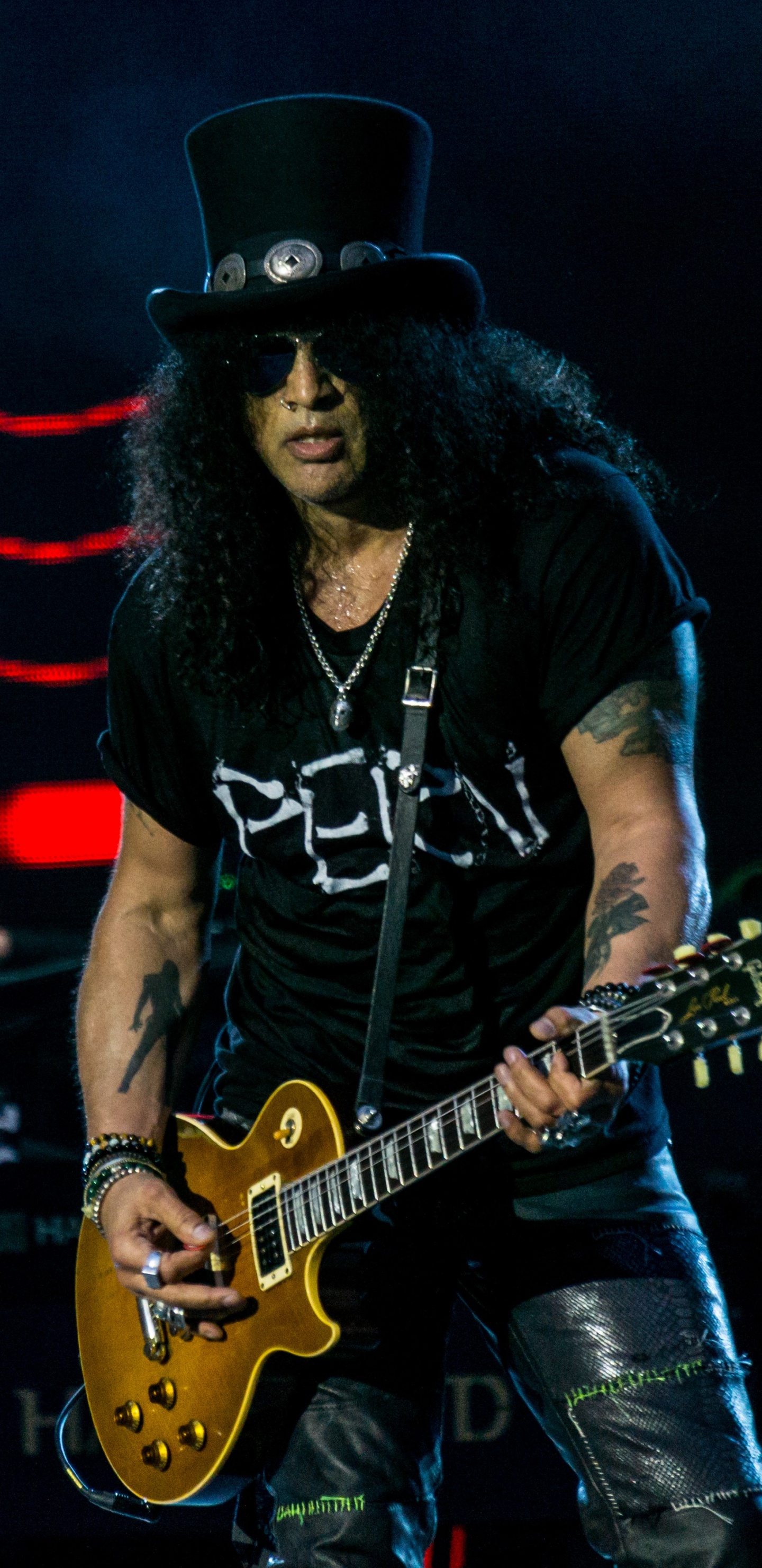 Guns N Roses, Gitarrist, Musiker, Leistung, Musik. Wallpaper in 1440x2960 Resolution