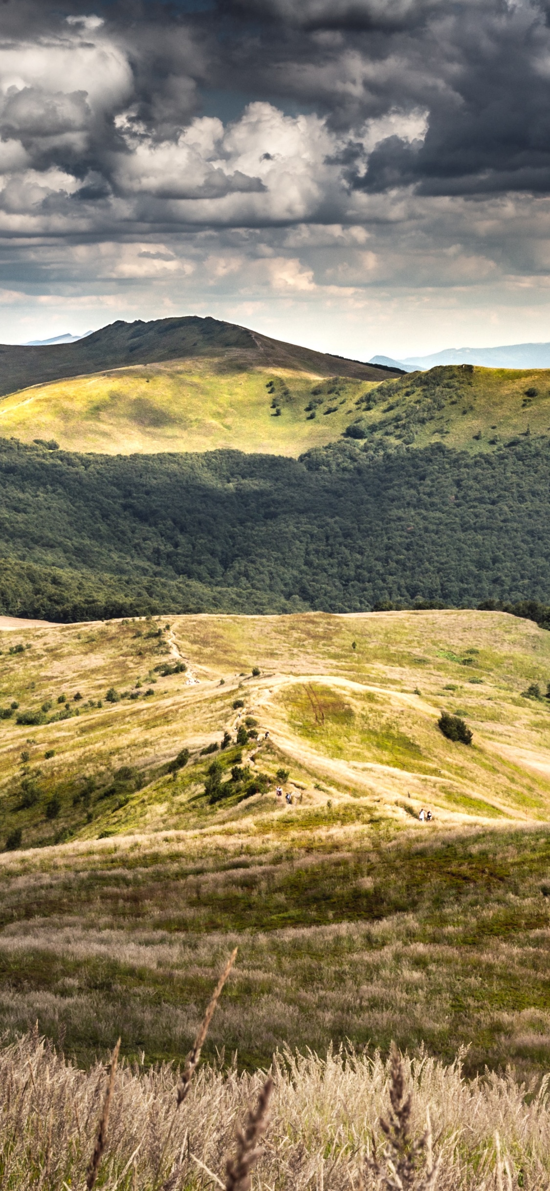 Chatka Puchatka, Bieszczady Mountains, Przecz m Orowicza, Poonina Wetliska, Smerek. Wallpaper in 1125x2436 Resolution