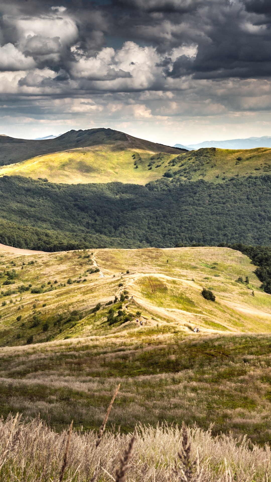 la Choza de Pooh, Montañas Bieszczady, Por Morowicza, Poonina, Smerek. Wallpaper in 1080x1920 Resolution