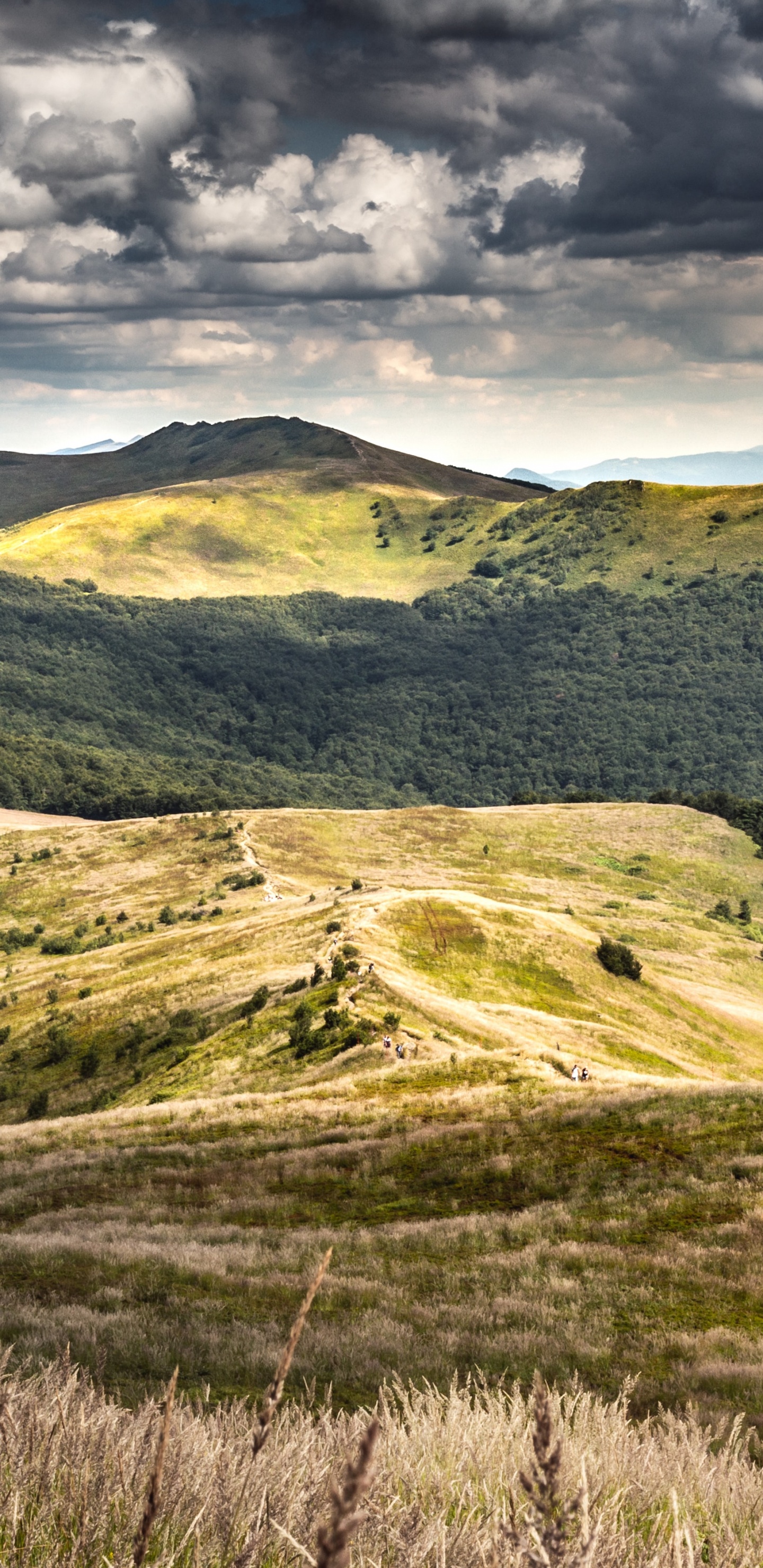 la Choza de Pooh, Montañas Bieszczady, Por Morowicza, Poonina, Smerek. Wallpaper in 1440x2960 Resolution