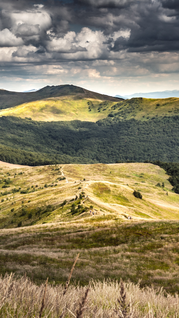 la Choza de Pooh, Montañas Bieszczady, Por Morowicza, Poonina, Smerek. Wallpaper in 750x1334 Resolution