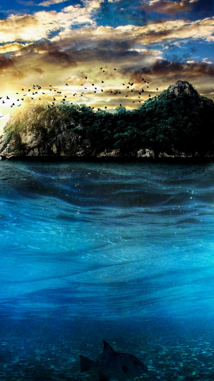 Oppo A37, Oppo A53, Oppo A91, OPPO, Agua. Wallpaper in 720x1280 Resolution