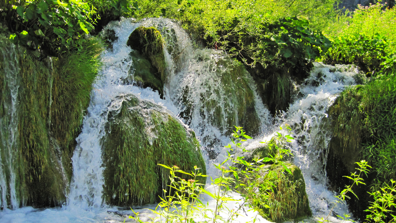 Grünes Moos Auf Grauem Fels. Wallpaper in 1366x768 Resolution