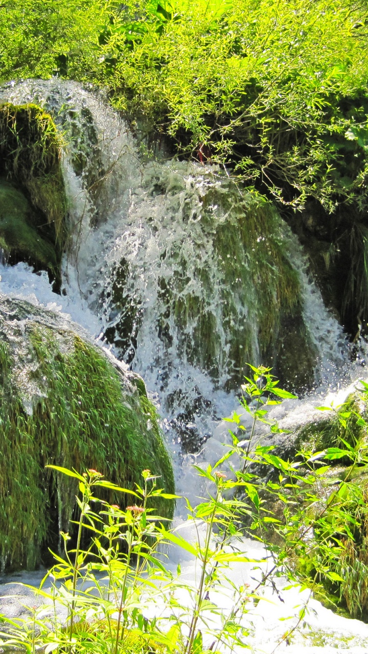 Grünes Moos Auf Grauem Fels. Wallpaper in 720x1280 Resolution