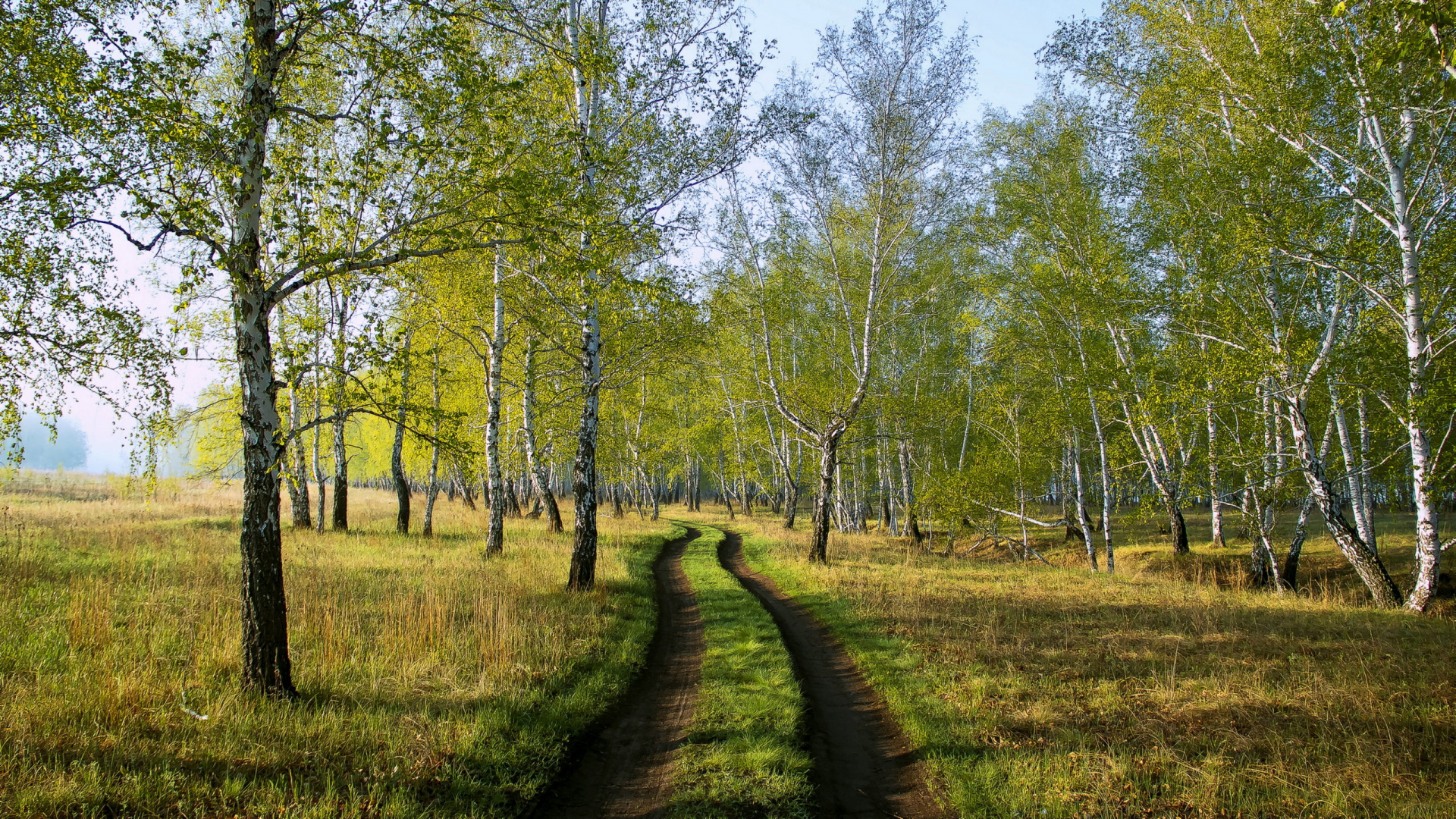 Green Grass Field With Trees During Daytime. Wallpaper in 1920x1080 Resolution