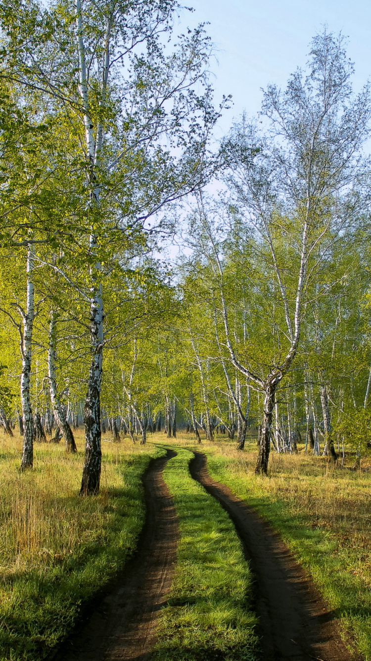 Green Grass Field With Trees During Daytime. Wallpaper in 750x1334 Resolution