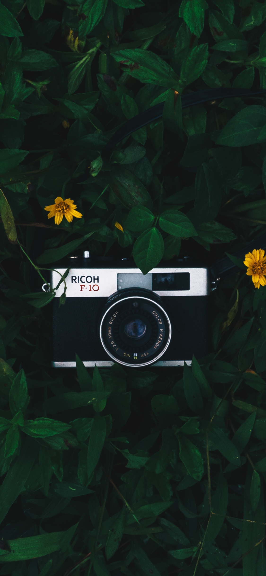 Black and Silver Camera on Green Grass. Wallpaper in 1125x2436 Resolution