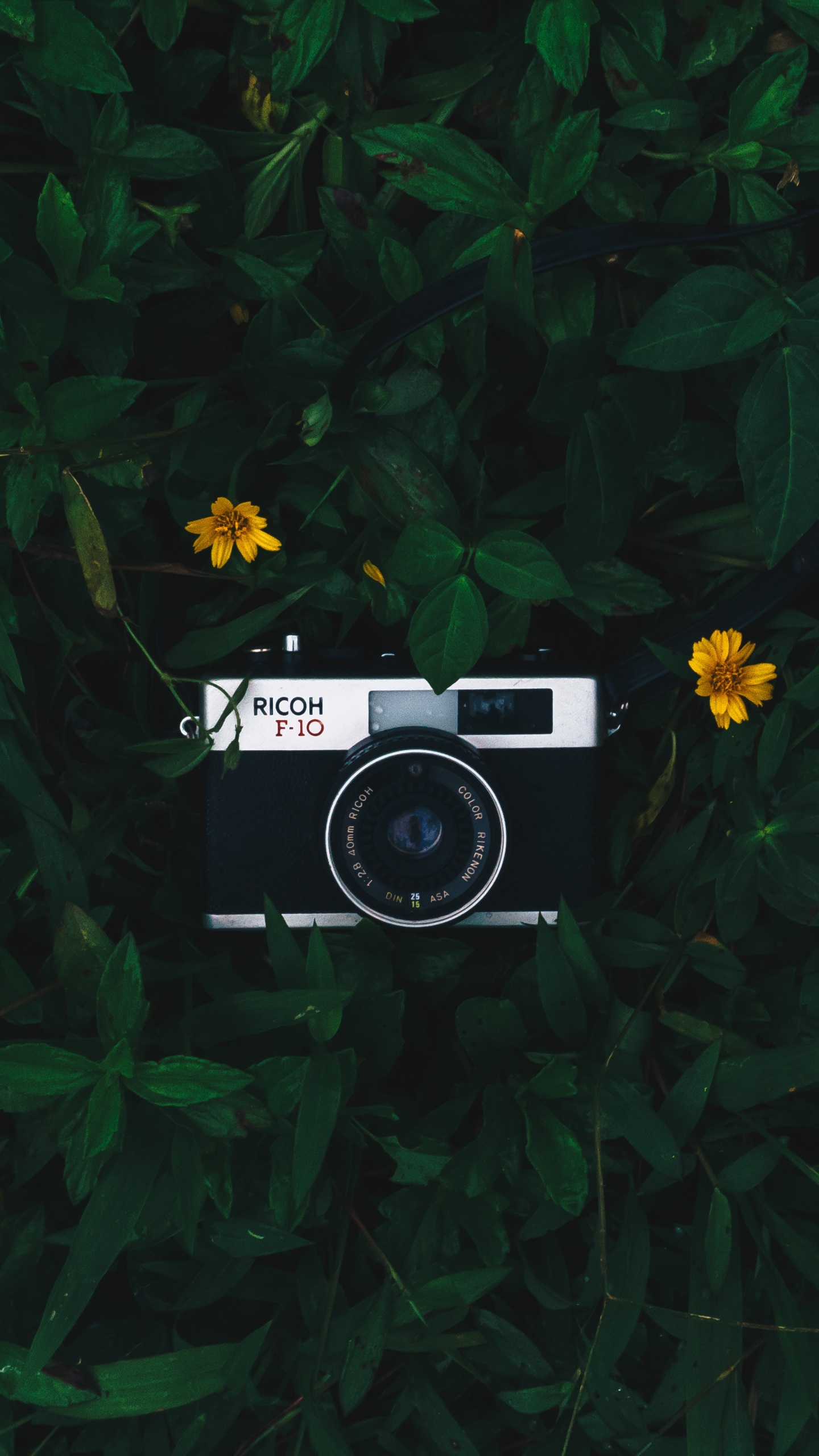 Black and Silver Camera on Green Grass. Wallpaper in 1440x2560 Resolution