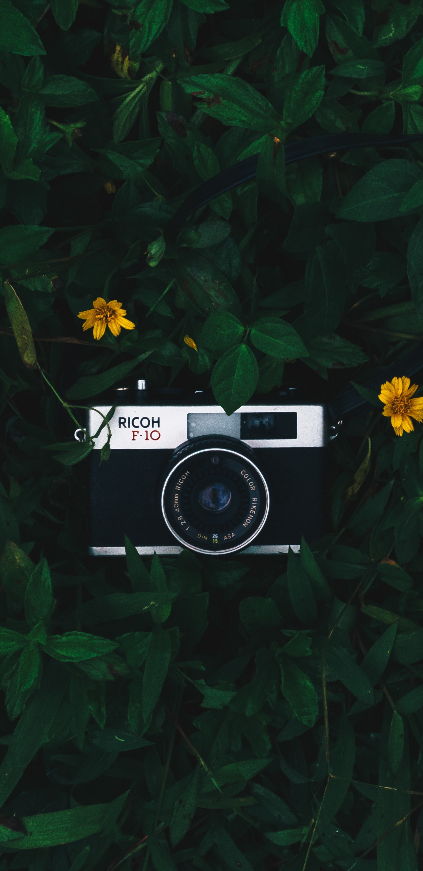 Black and Silver Camera on Green Grass. Wallpaper in 1440x2960 Resolution